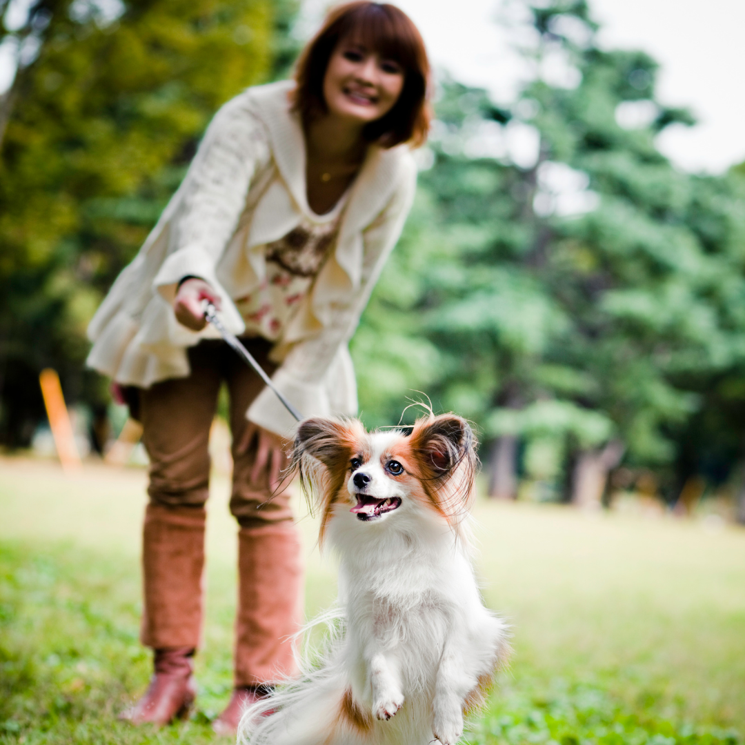 passeggiata-con-il-cane