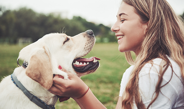 microchip per il cane